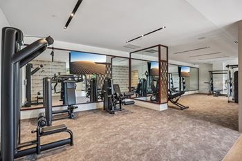 Resort-style fitness center with cardio and weight-lifting equipment at The Mera in St. Louis Park, 55426